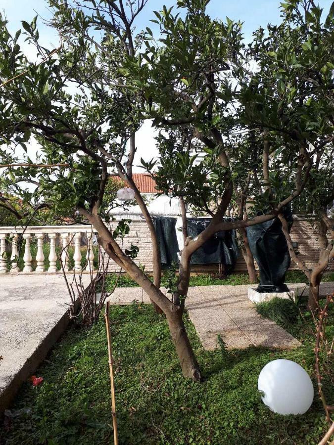 Apartment "Kamelia"Cavtat Luaran gambar
